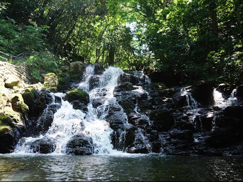 七つの滝を巡るハイキング