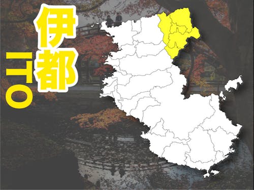 活動エリアは橋本市・かつらぎ町・高野町・九度山町・です!