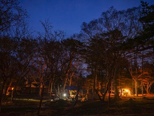 山里の夜の静寂を体感してください(どうか晴れますように)