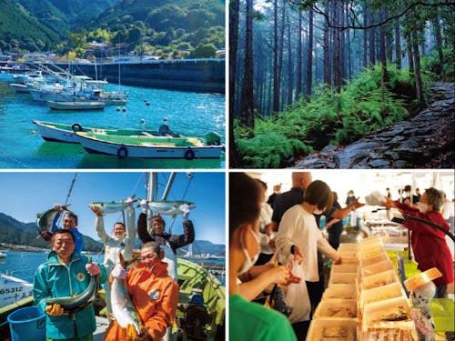 美しい海や山とその恵み、温かな気候と人柄が尾鷲の魅力