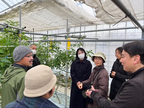 ミニトマトハウス伊藤農園見学