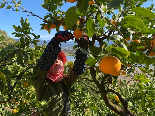 季節とレベルに合わせた体験先をご提案します