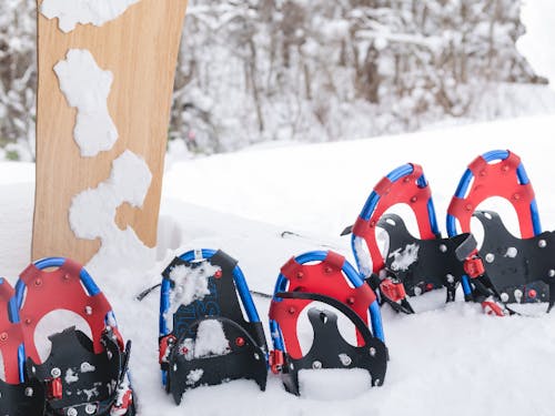 冬は雪もたくさん降る地域です。冬のアクティビティも楽しめます!