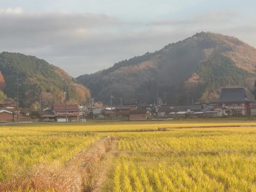 宿泊先近くの風景