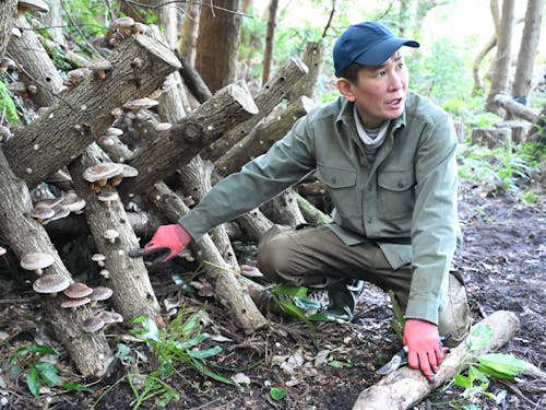 植菌から手をかけ育てたしいたけ