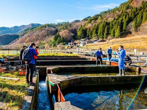山に囲まれた養魚場