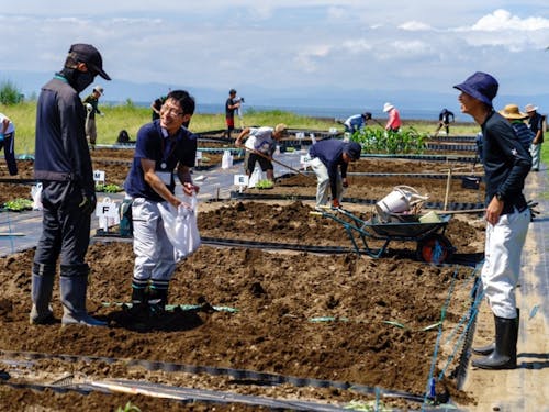 栽培実習で技術を学ぶ