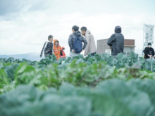 参加者同士の交流