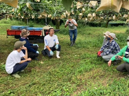 収穫の仕方についてレクチャー