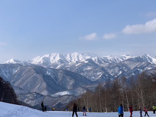 スキー場からはこんな景色が楽しめます!