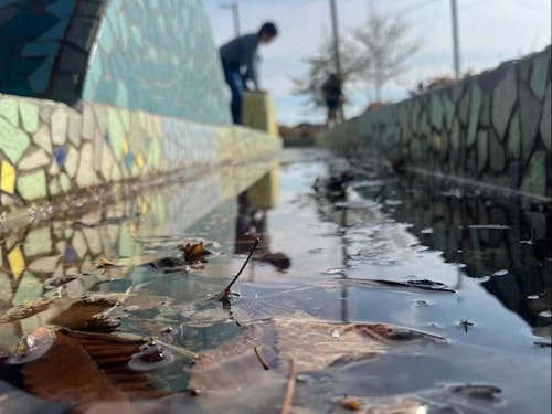 第1回開催の参加者が撮影した写真