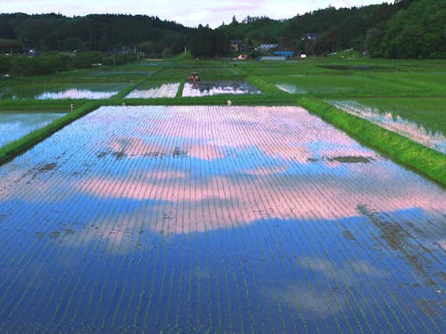 三和の風景