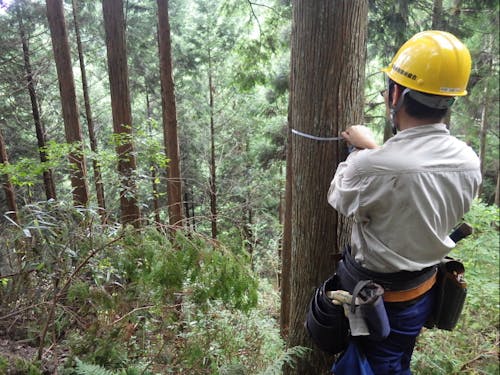 松阪市の69%を占める森林の調査風景