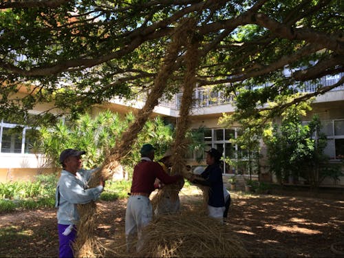協力して綱を編む。地域で支えあう日常の風景