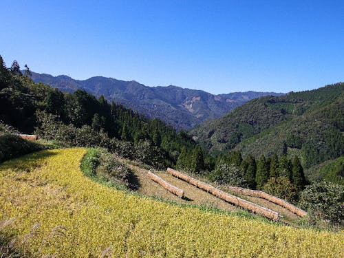 山々に囲まれた田んぼ