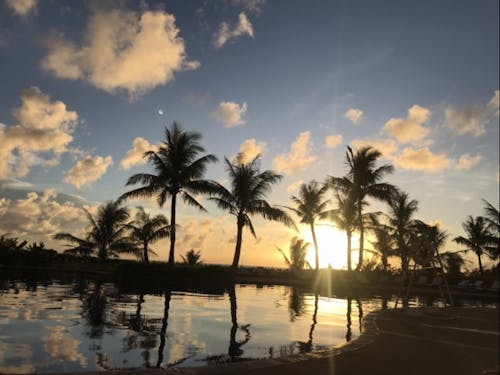 年間を通じ温暖で住みやすい気候です