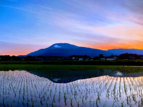 朝焼けの伊吹山