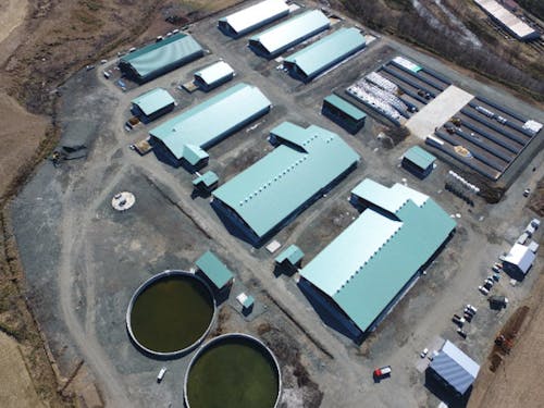 空から望む研修牧場