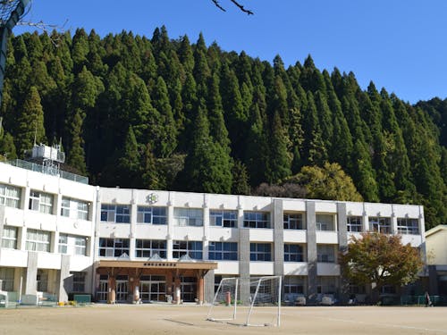 町立智頭小学校