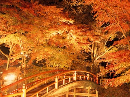 渋川市の秋といえば、河鹿橋