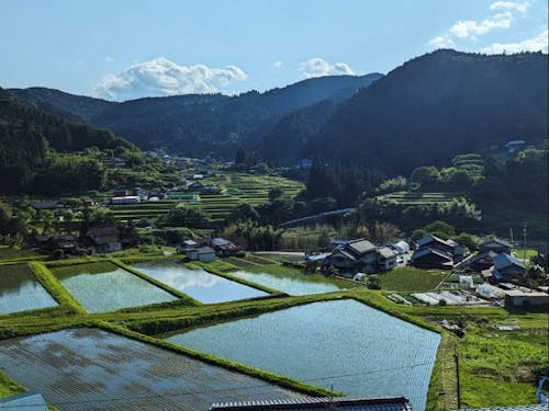 ふるきよき田舎の風景が日々に残っています。