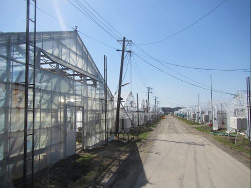 農業ハウスが立ち並ぶ実験センター