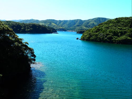 北分大橋からの景色
