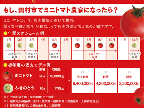 <ミニトマトでの就農モデル例>
