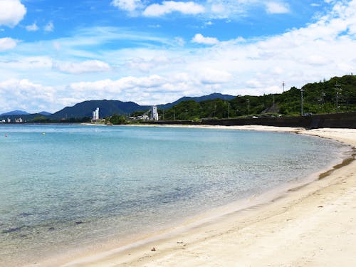 海の青さは移住者の皆さんお墨付き!