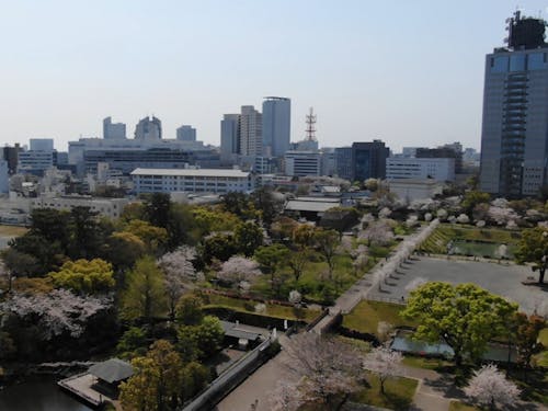 御伝鷹地区(駿府城公園)