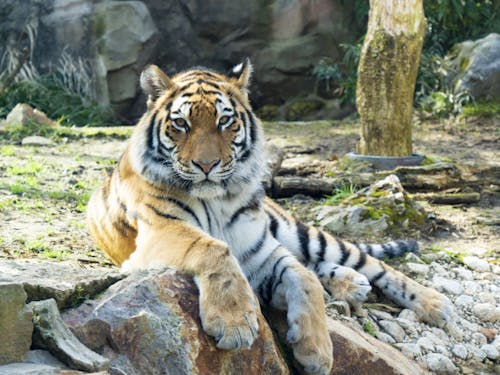 いしかわ動物園 希少動物がたくさん!