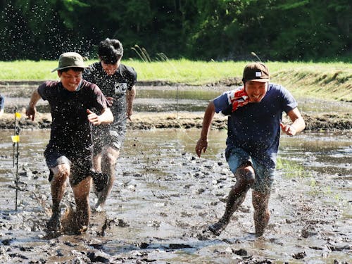 田舎体験ツアーの田植え体験中に田んぼで競争している様子です