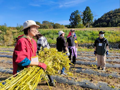 なりわいとして農業を行う方々を訪問。収穫体験を行います。