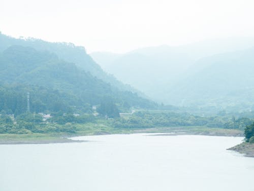 飯舘村の森林を守るため活動する飯舘村森林組合