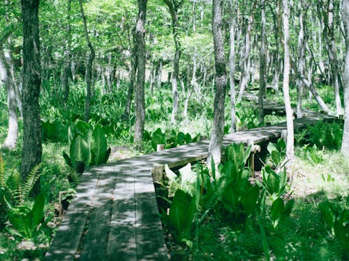 自然豊かな環境です