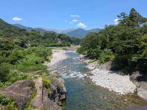 透き通った利根川