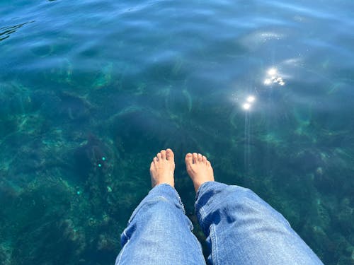 毎日散歩した小稲湾