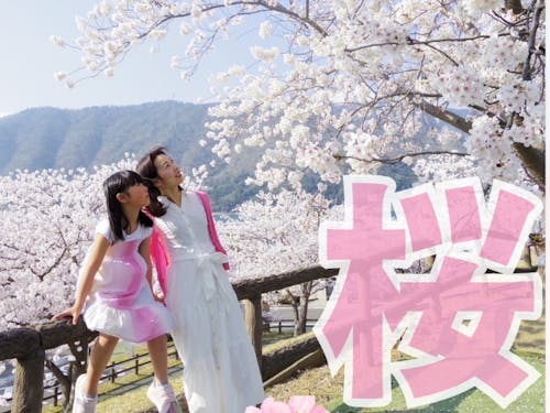 SNSで町内の観光情報などを発信