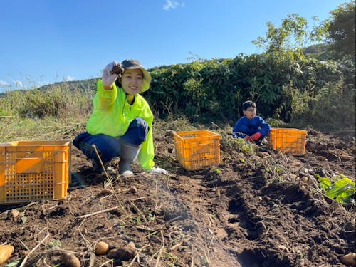 農業体験の様子。じゃがいも掘りは北海道の醍醐味といっても!
