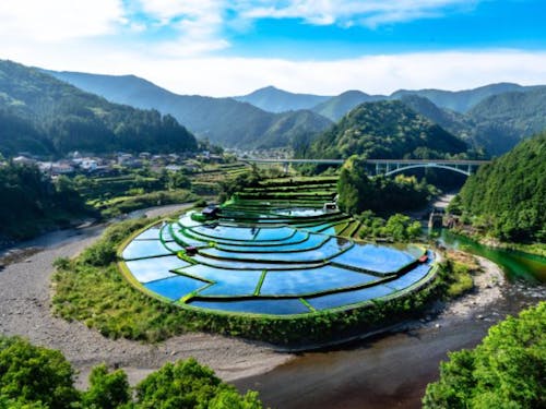 有田川町WEEK!7月3日(水)~7日(日)