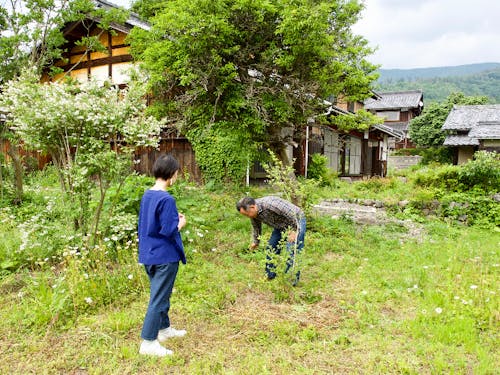 木々を植えたお庭で。奥が住まいにしている古民家