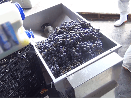 移住定住コーディネーター の地域おこし協力隊募集 ブドウとワインにかかる地域おこし協力隊は募集を一時停止中 移住定住コーディネーター の地域おこし協力隊募集 ブドウとワインにかかる地域おこし協力隊は募集を一時停止中