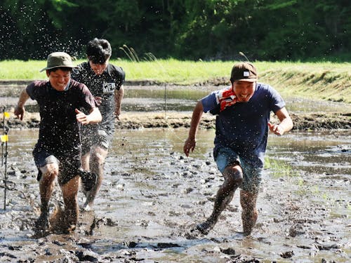 今春に企画・運営した田植え体験ツアーの様子。