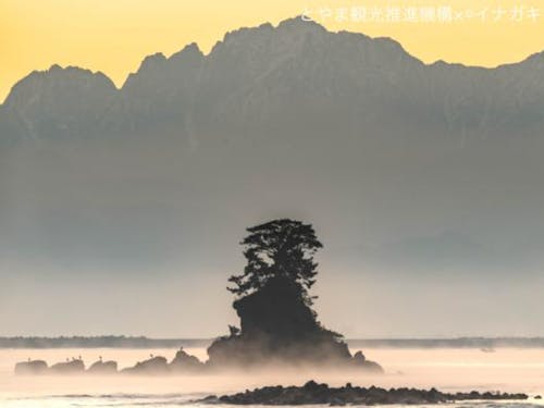 雨晴海岸