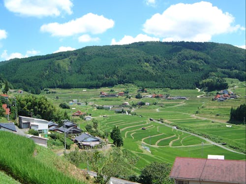 自然に囲まれたのんびりな暮らし