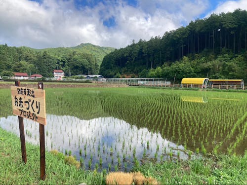 ツアー実施直後の様子