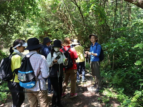高齢者森林ウォーキングの様子