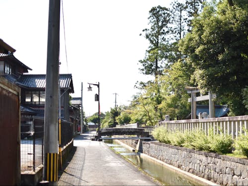 多賀大社前を流れる川と、門前町の裏通りの景観