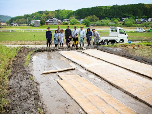 複数世帯で協力し合って米づくりをしています