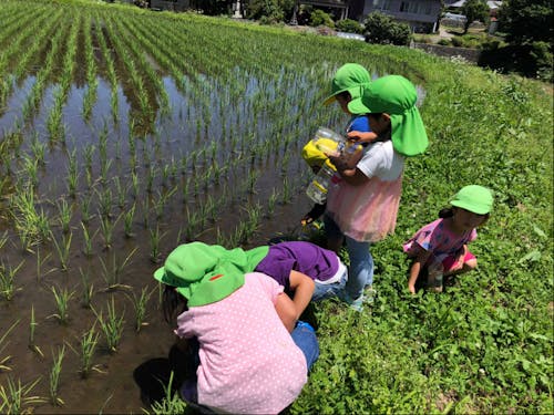 五感を使って遊ぶ体験が豊富